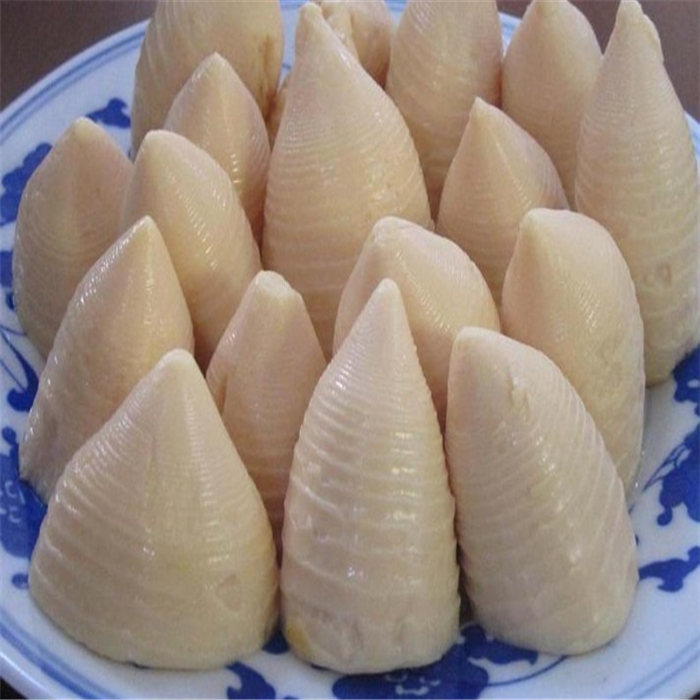 canned bamboo shoot  slices